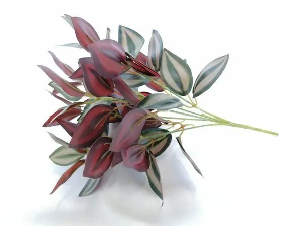 Tradescantia con 5 varas, 32cm