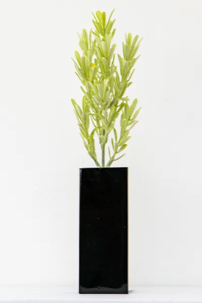 Varita de suriana ceniza 38cm