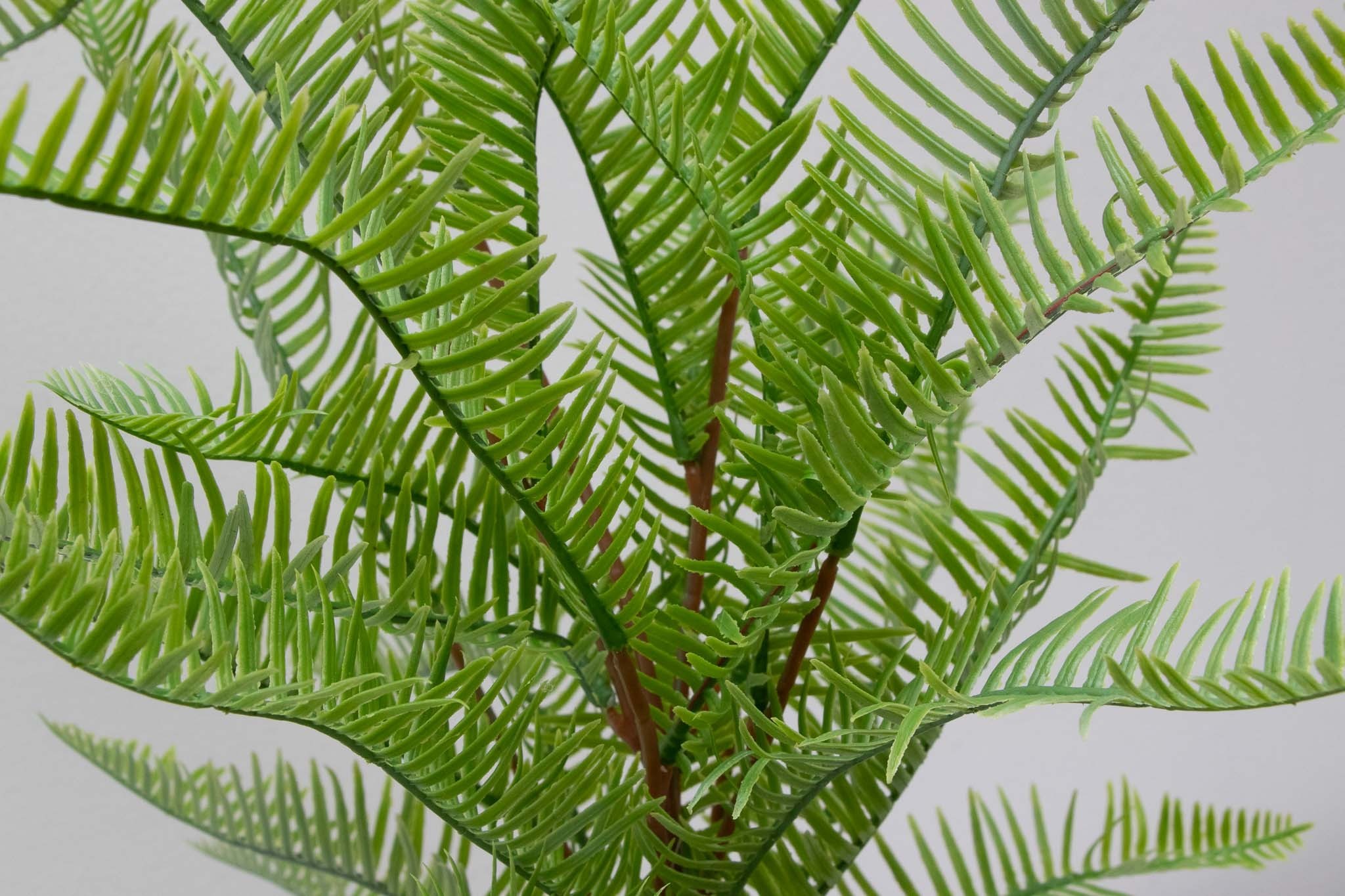 Follaje Cypreés 50cm