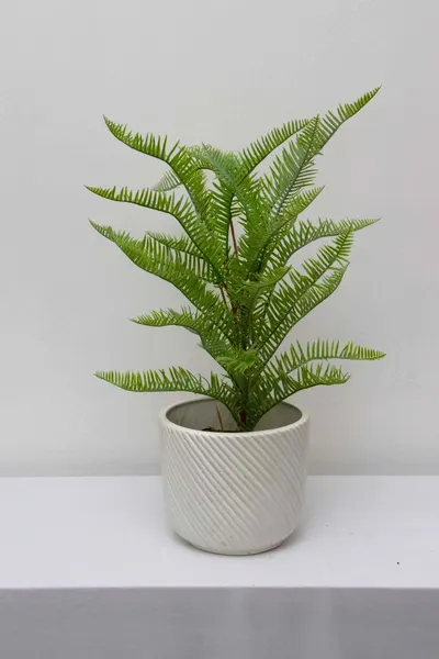 Follaje Cypreés 50cm