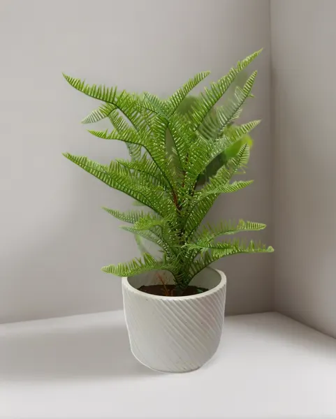 Follaje Cypreés 50cm