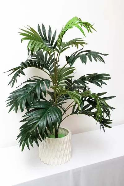 Follaje de palma 70cm