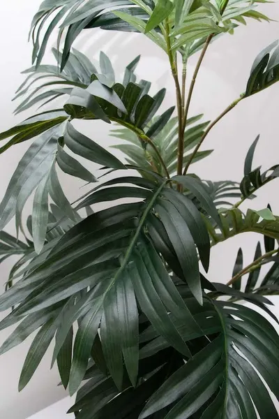 Follaje de palma 70cm