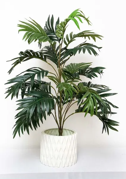 Follaje de palma 70cm