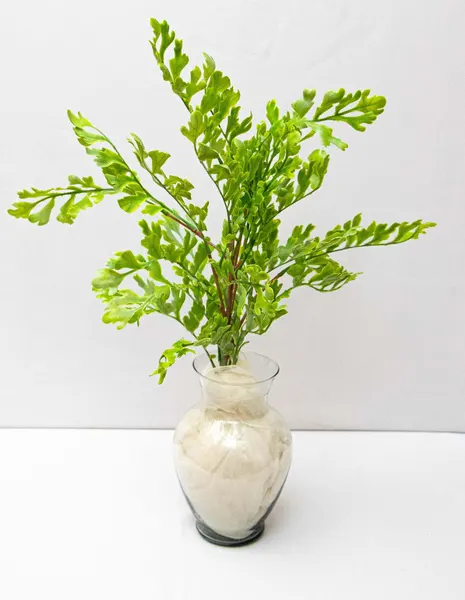 Follaje de Roble 55cm