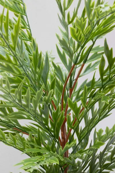 Follaje de roble silk verde olivo 57cm