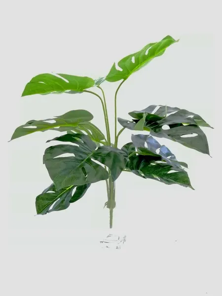 Follaje Garra de León 52cm largo