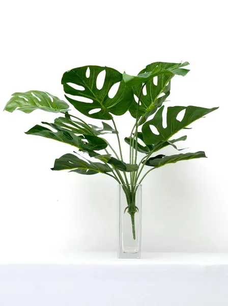 Follaje Garra de León 52cm largo