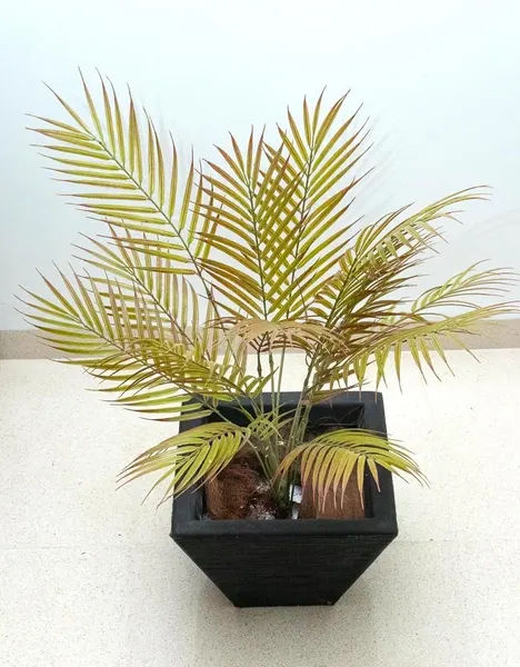 Follaje hojas de palma 75cm, dos colores
