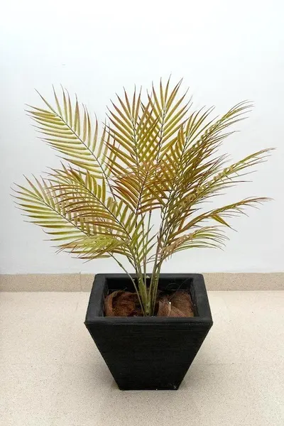 Follaje hojas de palma 75cm, dos colores