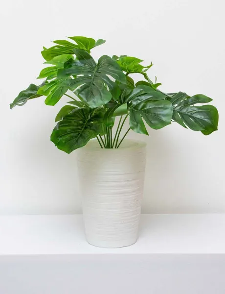 Follaje monstera 50cm