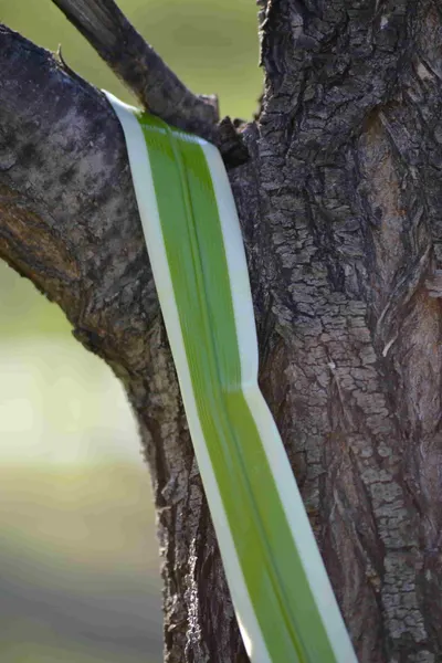 Fornio de plástico flexible 80cm