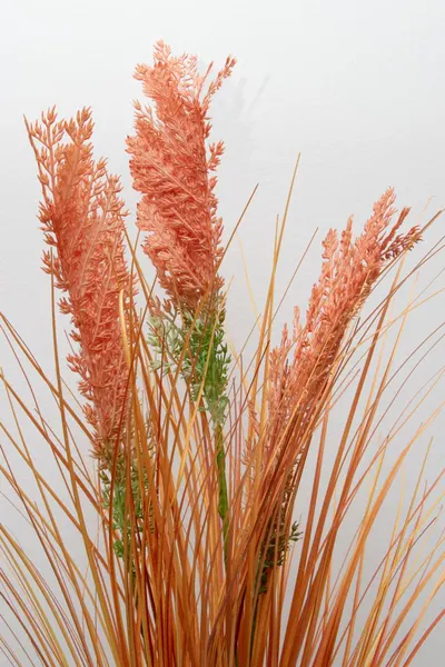 Grass con frutos 87cm, tres colores