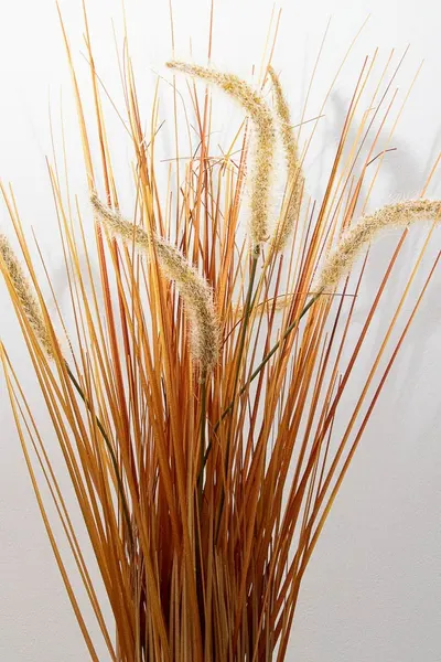 Grass otoñal 80cm de altura
