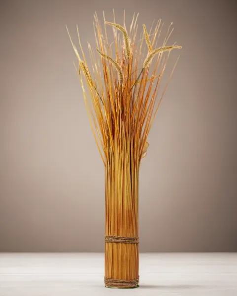 Grass otoñal 80cm de altura