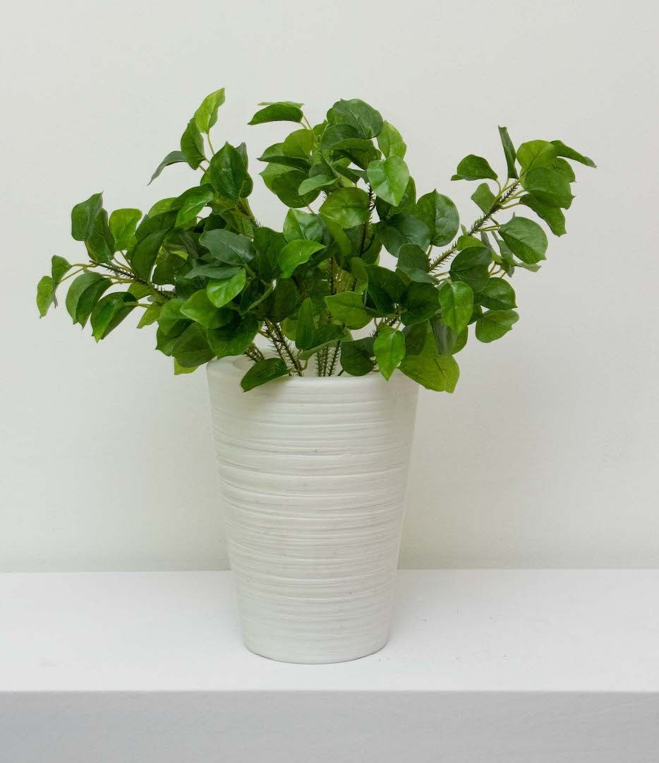 Licolisandra verde 50cm