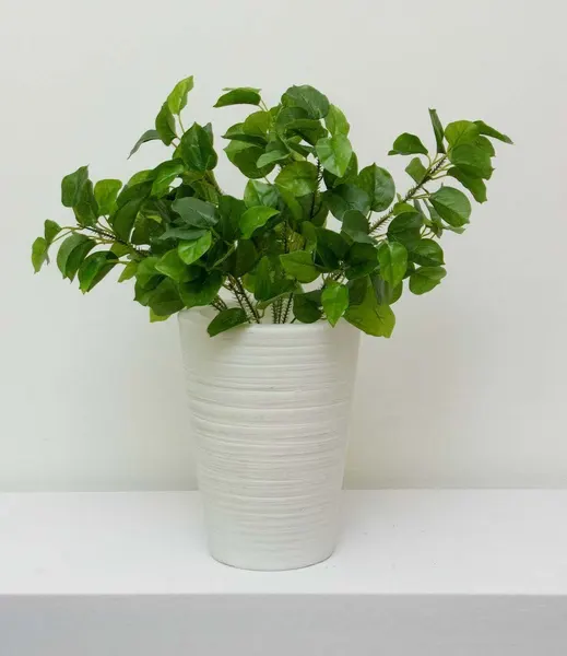 Licolisandra verde 50cm