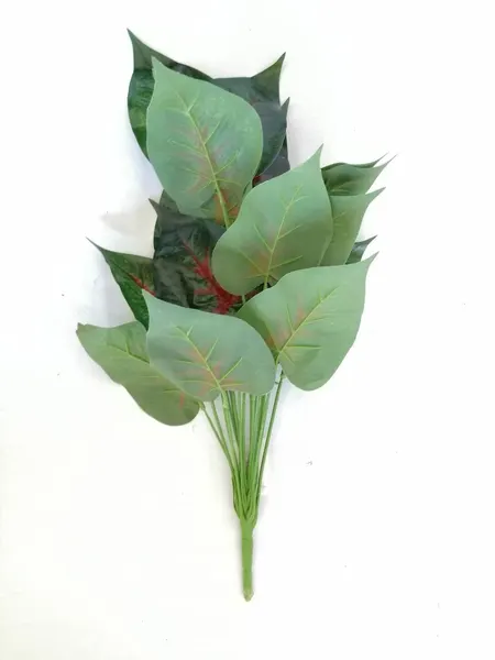 Paquete calathea rosea roja 58cm largo, 12pzas