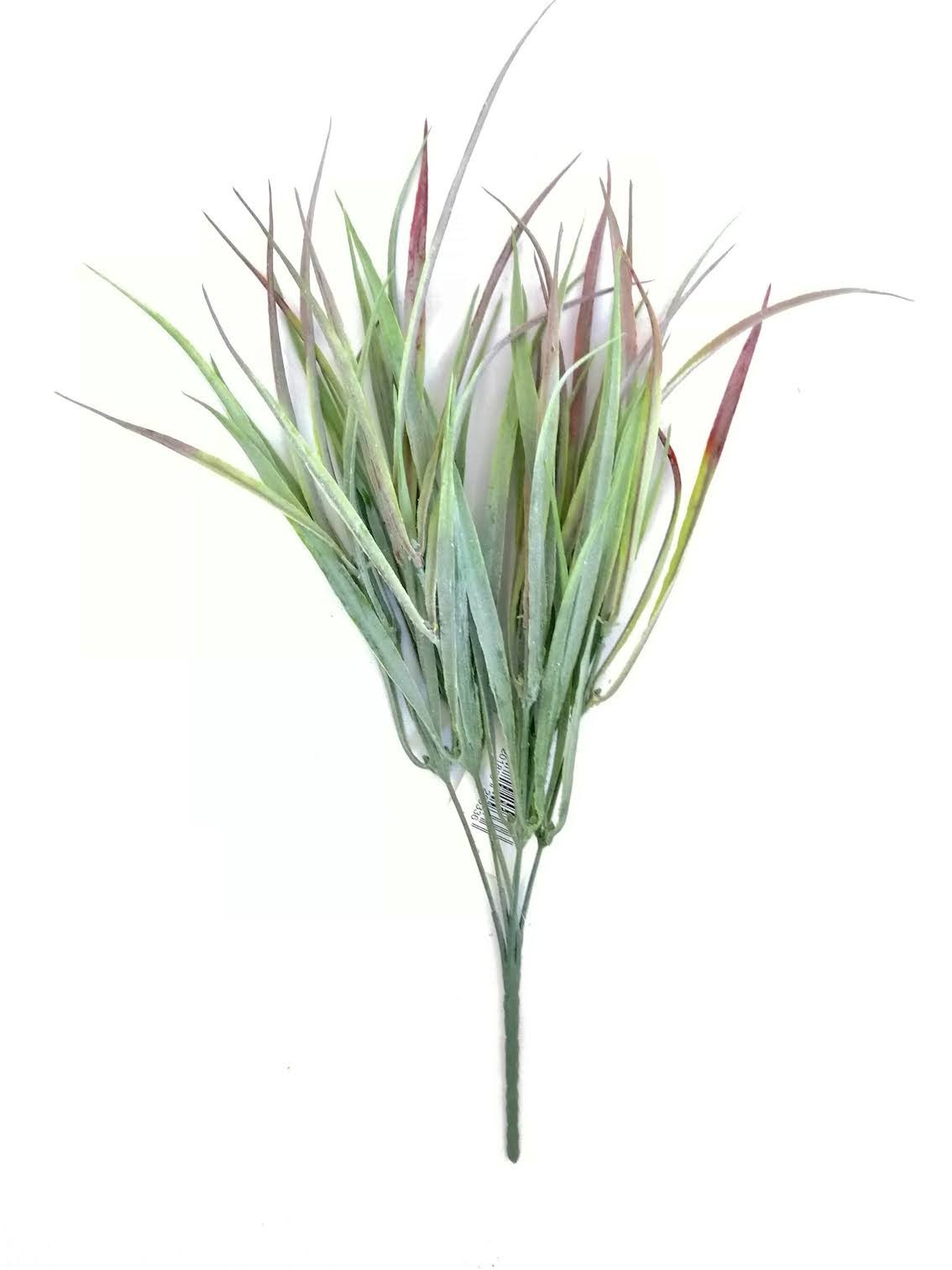 Zacate cenizo 38cm largo