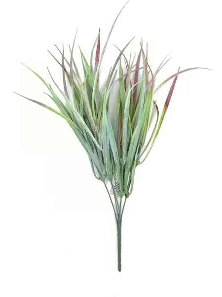 Zacate cenizo 38cm largo