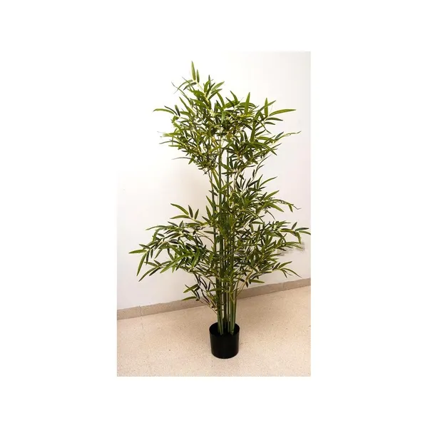 Bambú de 120 cm altura