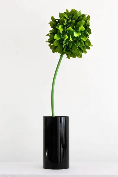 Topiario verde 60cm largo