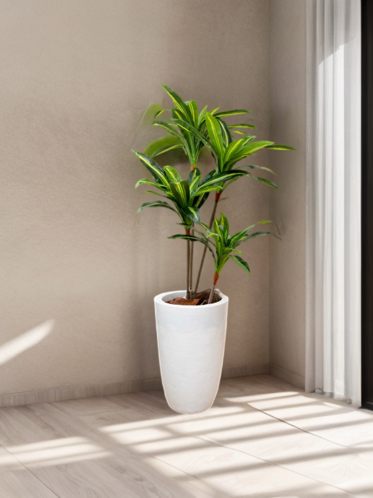 Dracaena delgada 125 cm hoja verde