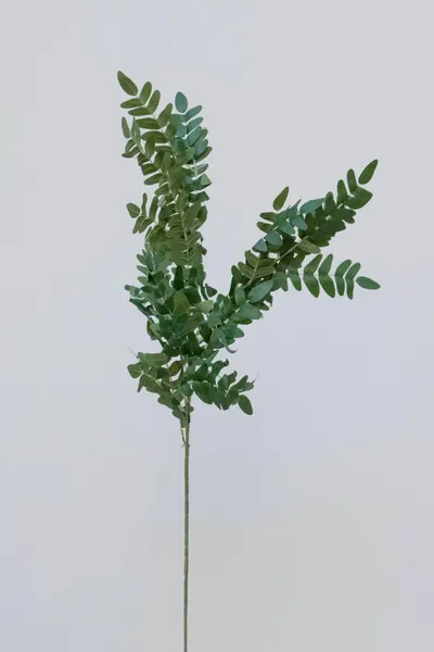 Vara de hojas de helecho 100cm
