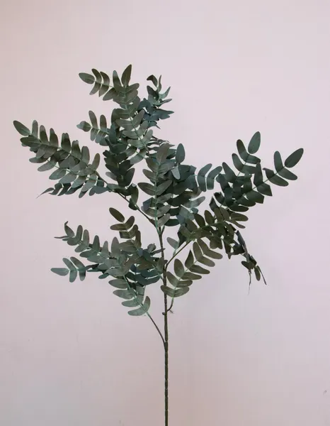 Vara de hojas de helecho 100cm