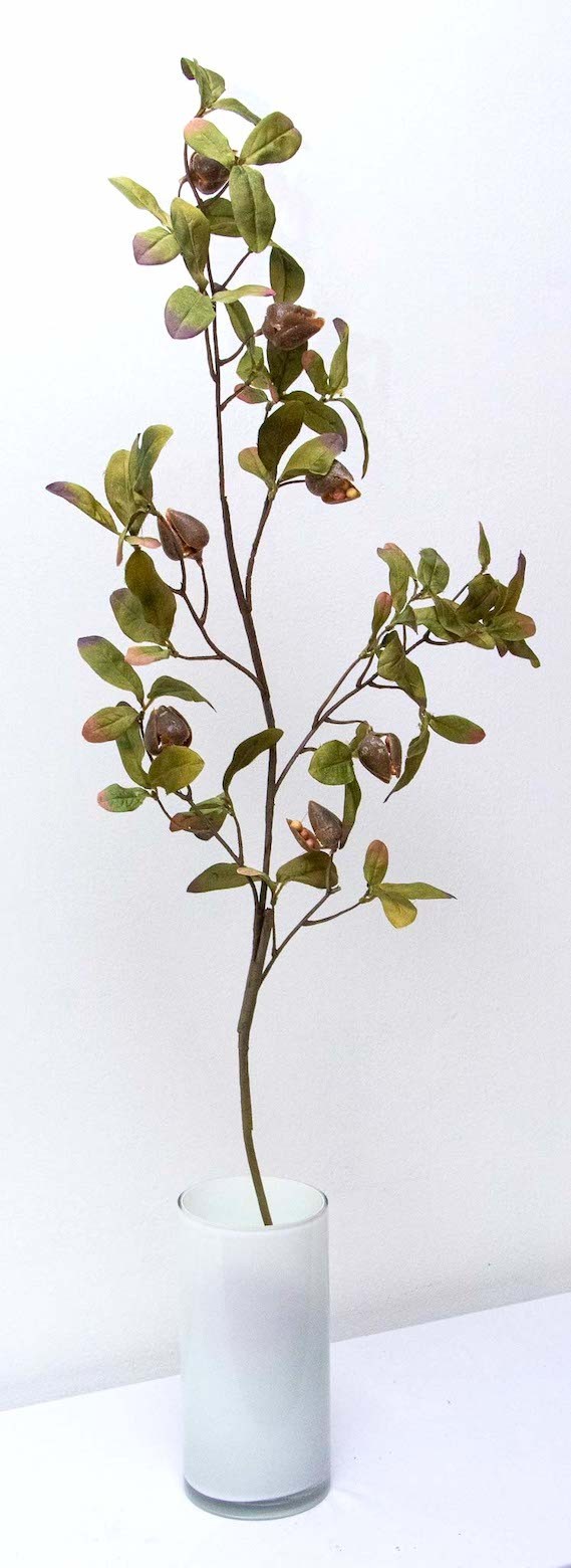 Vara evergreen con frutos 95cm