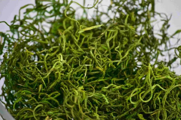 Heno verde natural tratado