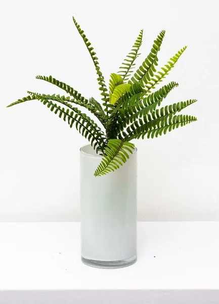 Helecho apariencia natural chico 45cm