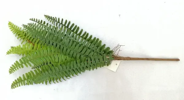 Helecho apariencia natural chico 45cm