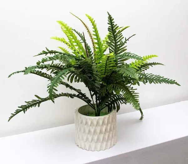Helecho verde deluxe 55cm
