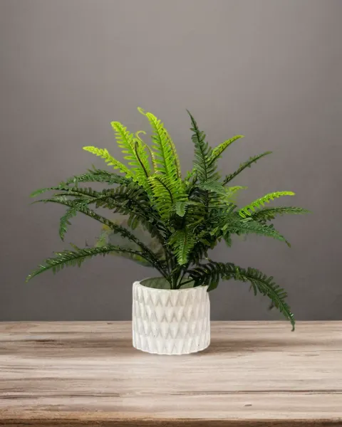 Helecho verde deluxe 55cm