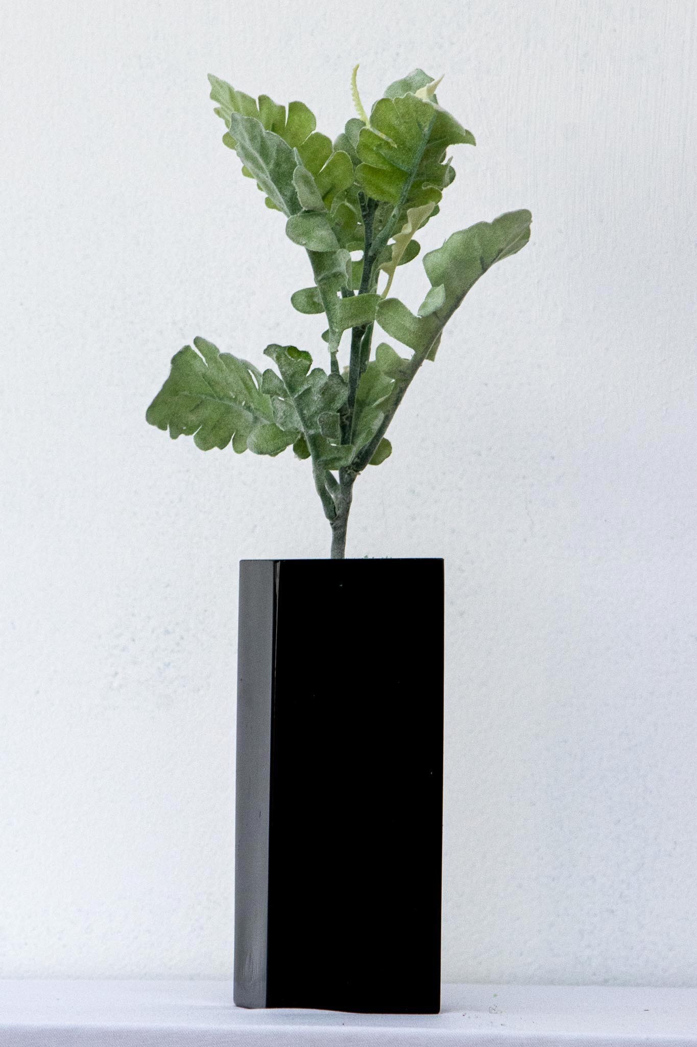 Vara de helecho cenizo 38cm