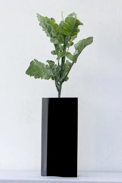 Vara de helecho cenizo 38cm