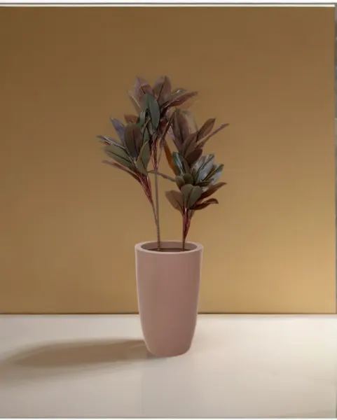 Dracaena roja 120 cm altura, precio no incluye maceta
