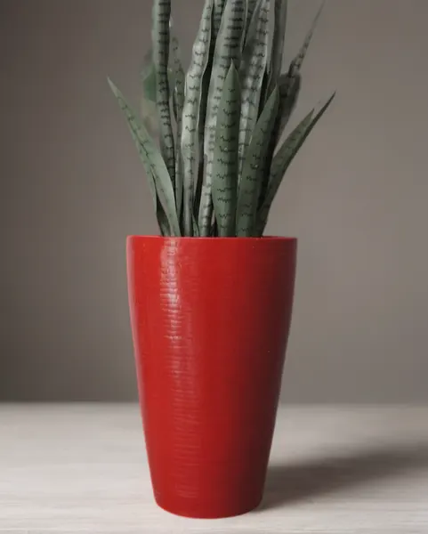 Maceta Klya Roja Polietileno 55cm altura, 36cm boca