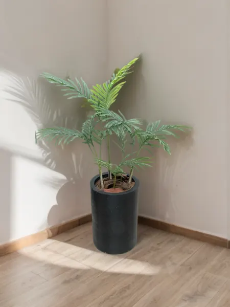 Palma 110 cm altura sin maceta