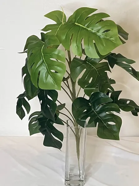 Planta monstera 47cm con protección UV