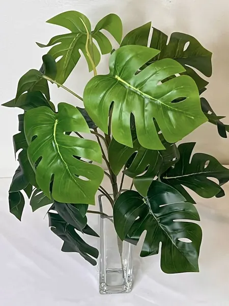 Planta monstera 47cm con protección UV