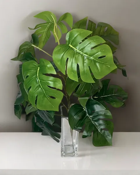 Planta monstera 47cm con protección UV
