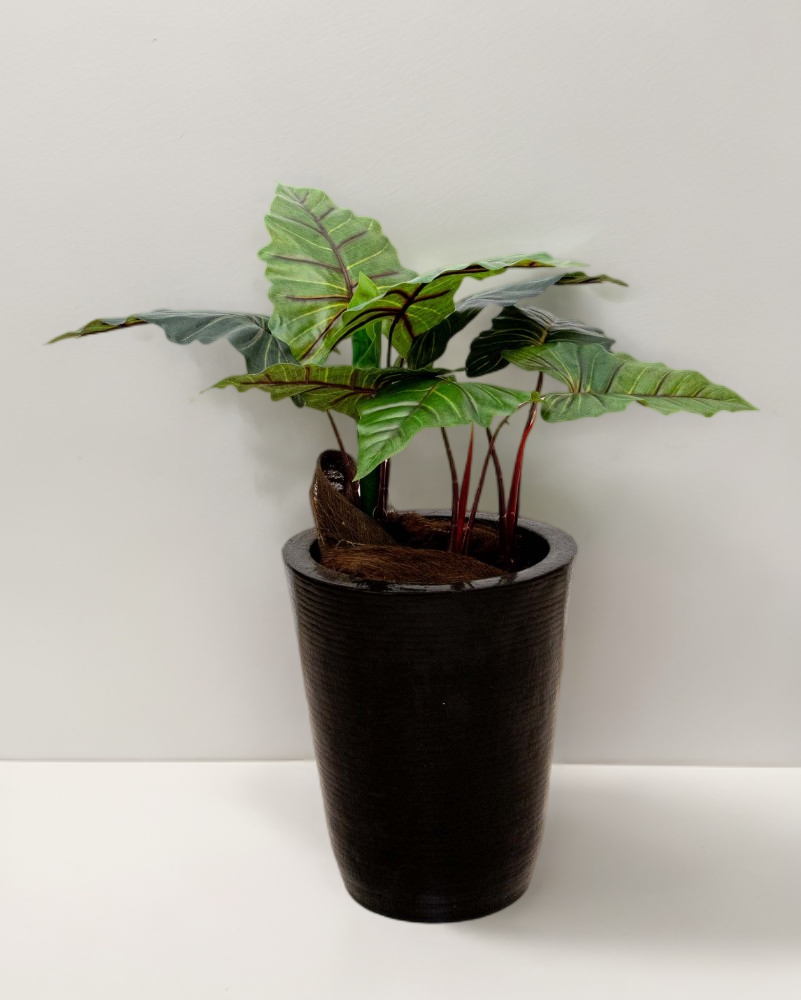 Planta colocasia 90cm