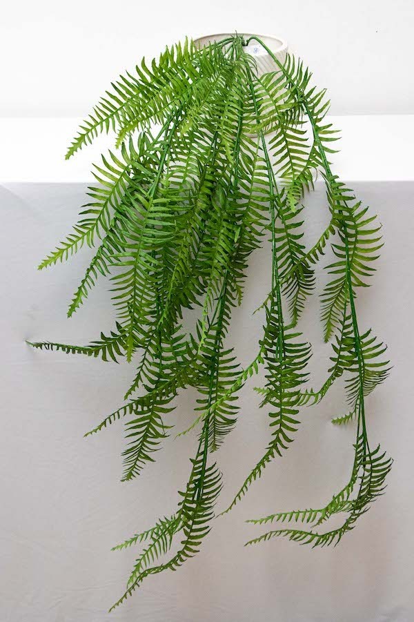 Colgante helecho 125cm largo