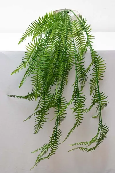 Colgante helecho 125cm largo