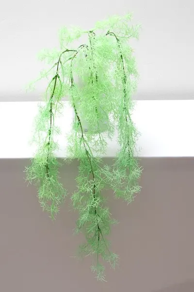 Colgante sea onion 90cm, dos colores