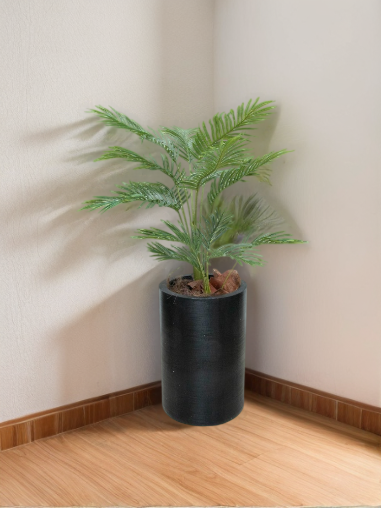 Palmita 100 cm (sin maceta)