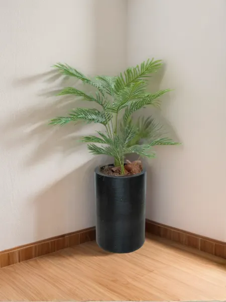 Palmita 100 cm (sin maceta)