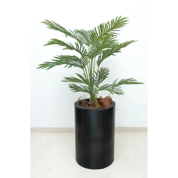 Palmita 100 cm (sin maceta)